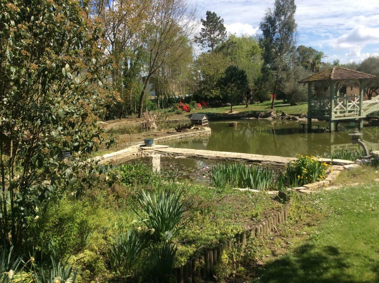 Gite Le Bois De Montpouillan マルマンド エクステリア 写真